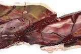 Polished Mookaite Jasper Slab - Australia #221882-1